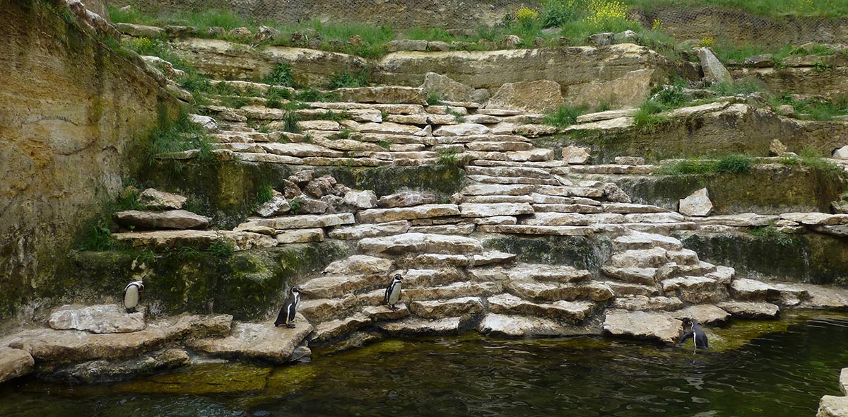 doué la fontaine chute d'eau pingouin vente fabrication pierre naturelle calminia