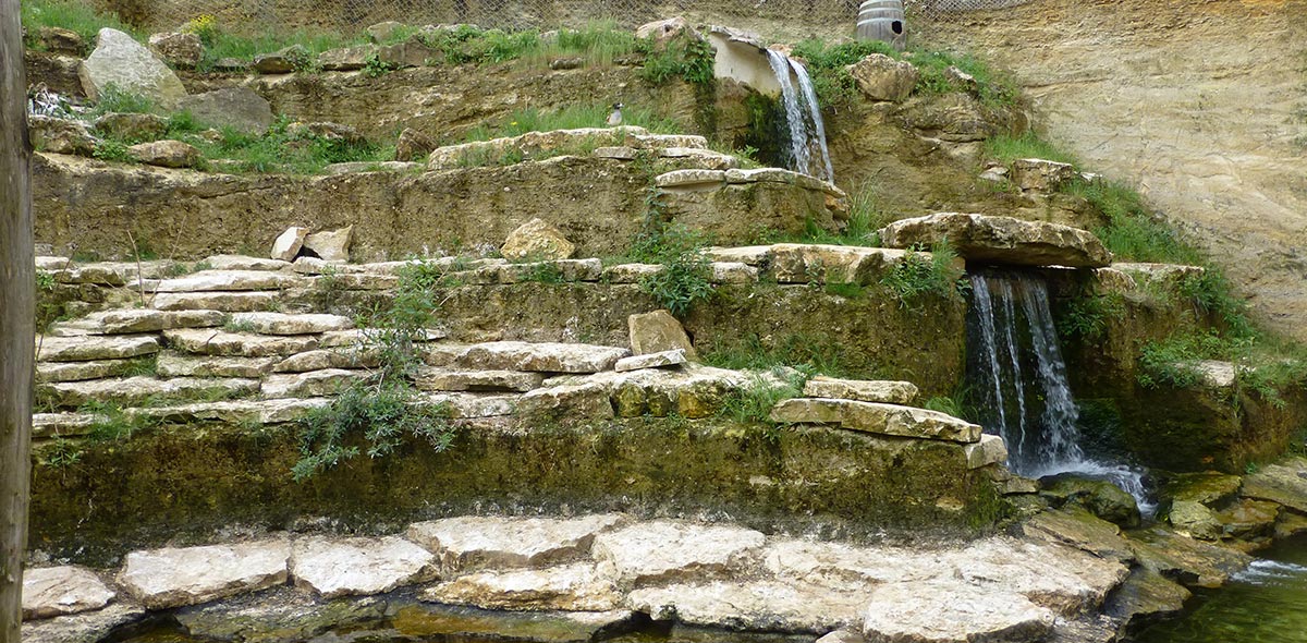 doué la fontaine pingouin rocheux vente fabrication pierre naturelle calminia