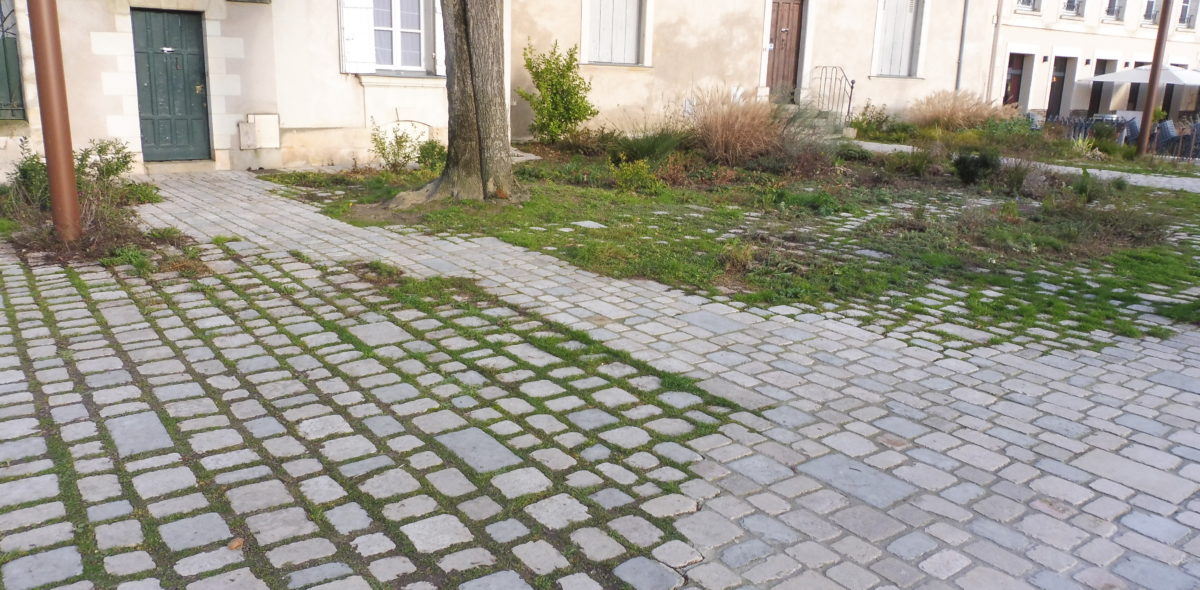 ANGERS-CHEMIN DU BOUT DU MONDE